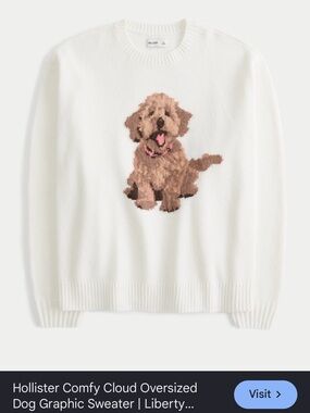 Hollister Cream Knit Sweater with Brown Puppy Graphic